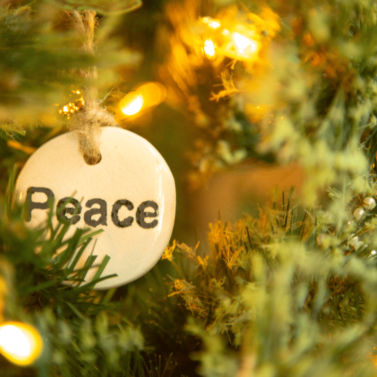 All I Want For Christmas Is Calm